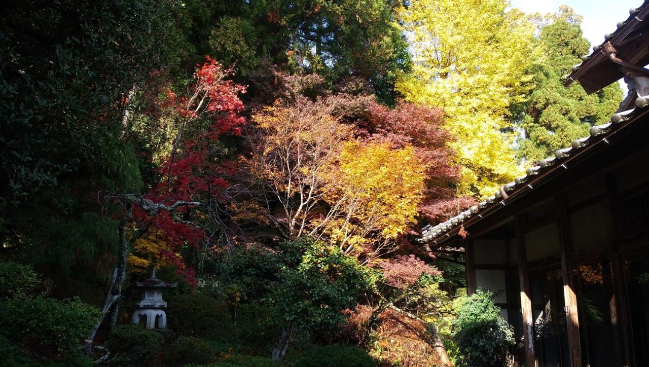 農家民宿 山いちご Echizen  Esterno foto